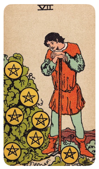 Seven of Pentacles